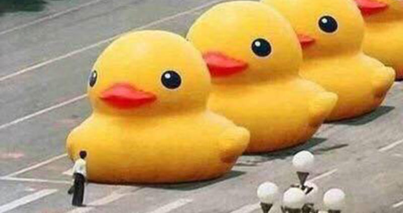patos-fiesp 1905