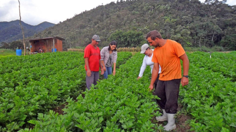 agriculturafamiliar IL