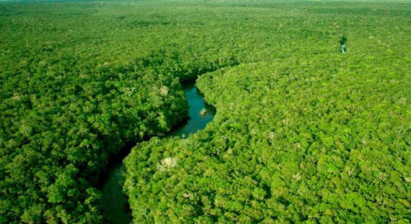 Conferência do Clima - Amazônia 2