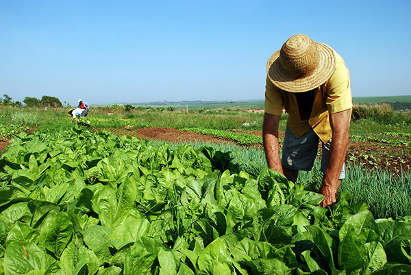 reforma-agraria-mst