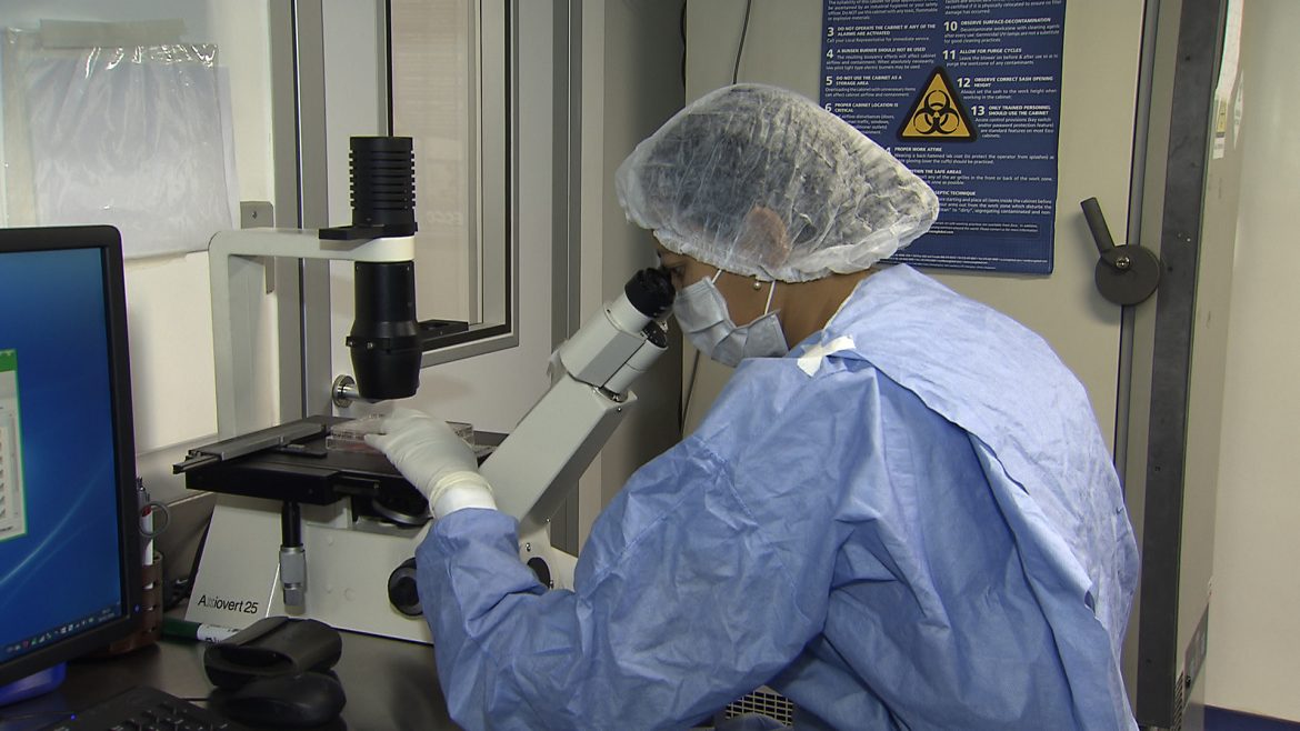 pesquisa CNPq projeto genoma