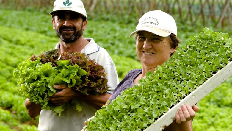 Semana da Agricultura Familiar Senado projeto